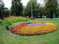 Květy