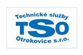 tso