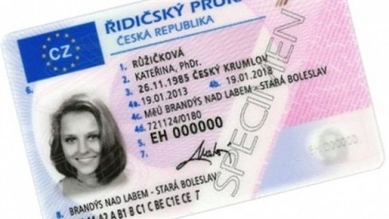 ridičak