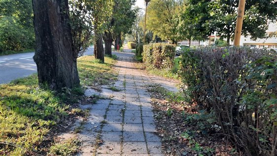 chodnik